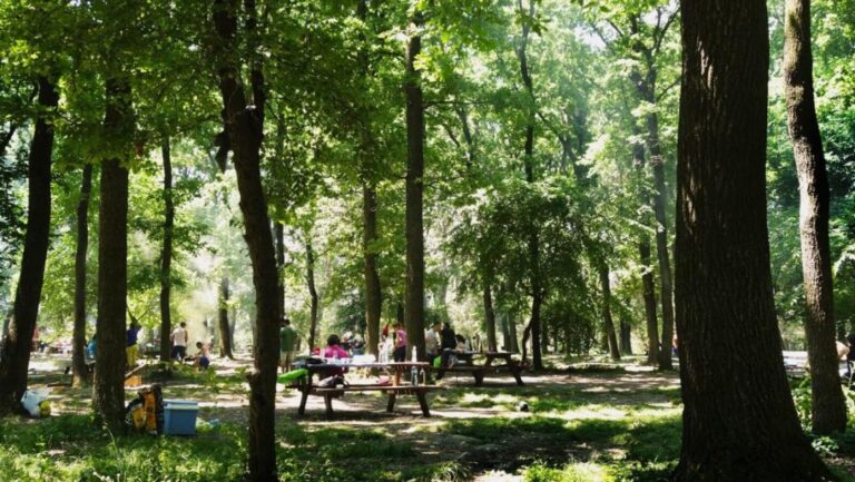 Cele mai bune locuri de picnic în jurul Bucureștiului