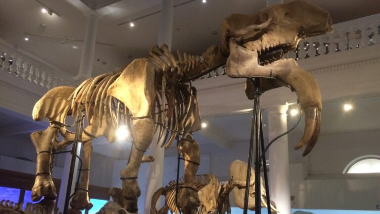Top muzee și expoziții educative pentru copii în București