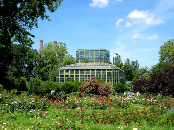Sera și grădina de trandafiri din Grădina Botanică a Bucureștiului
