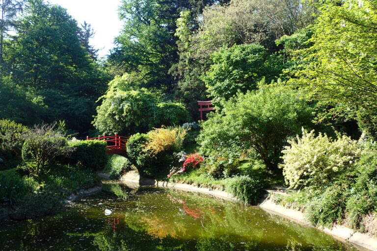 Top 3 grădini botanice din România pentru o plimbare pe îndelete